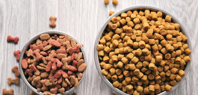 bulk dog food