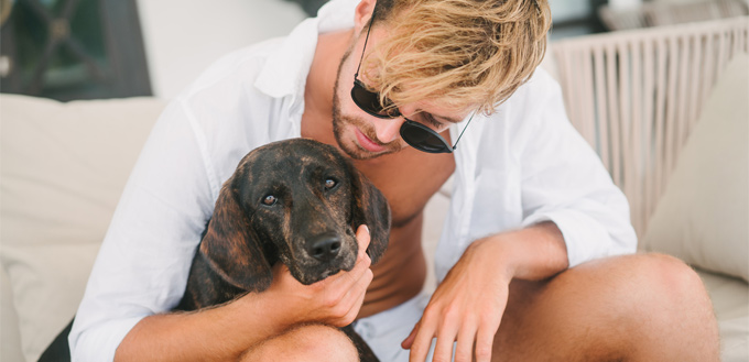 dog in a hotel with his owner