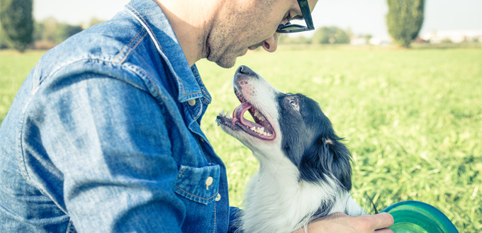 dog looking at his owner