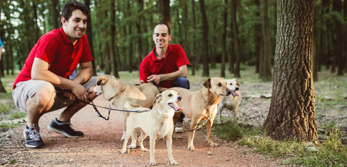 dogwalkers in the woods