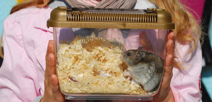 hamster carrier cage