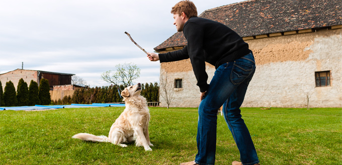 man playing catch with his dog