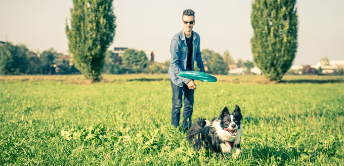 man playing frisbee with his dog