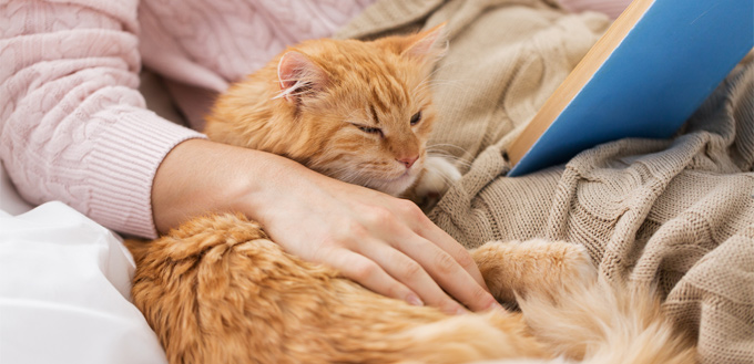 kitty sleeping in woman's arm