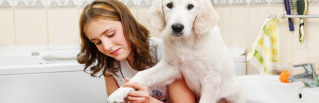 mobile dog clippers