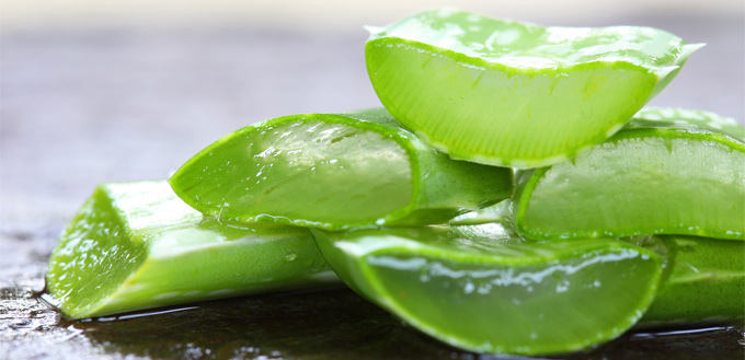 aloe vera benefits