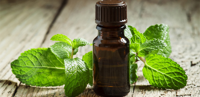essential peppermint oil