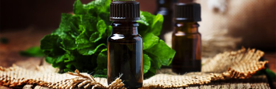 Is Peppermint Oil Safe for Dogs? My Pet Needs That