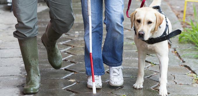 guide dog with owners