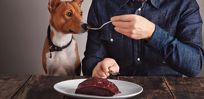man share piece of steak with dog