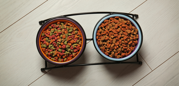 soy in pet food