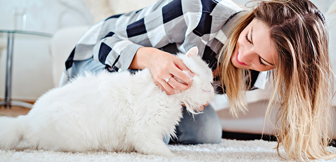 Girl playing with her white cat