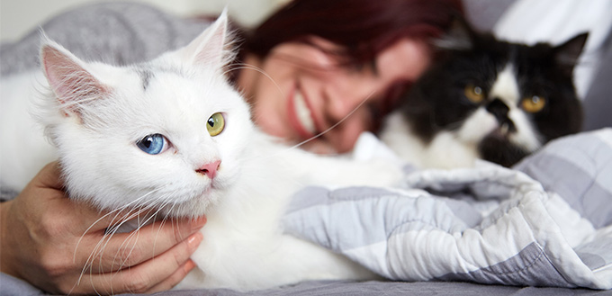 Hispanic woman with fluffy white cat lying on bed