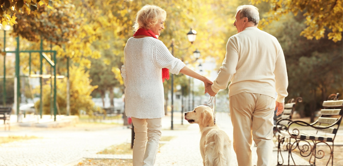 senior people walking a dog