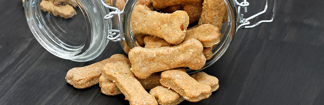 how to make pumpkin dog treats