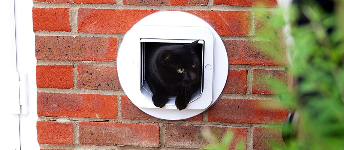 unique cat doors