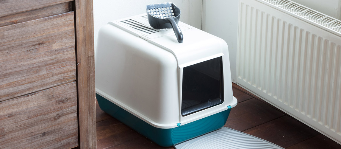 Best-Cat-Litter-Boxes