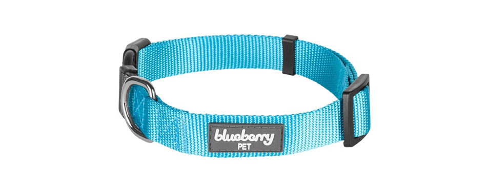Blueberry Pet Classic Solid Nylon Dog Collar