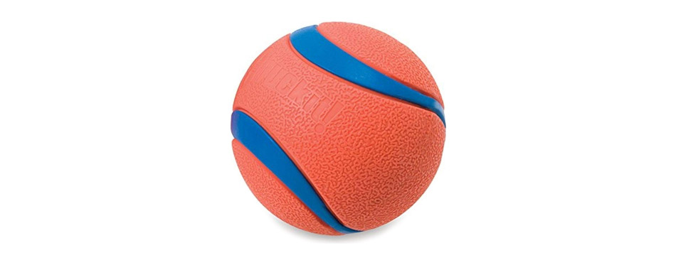 Chuckit! Ultra Rubber Ball Tough Dog Toy