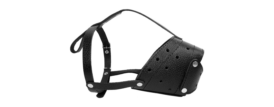 CollarDirect Leather Dog Muzzle for Terrier