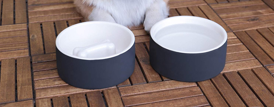 Dog Bowls