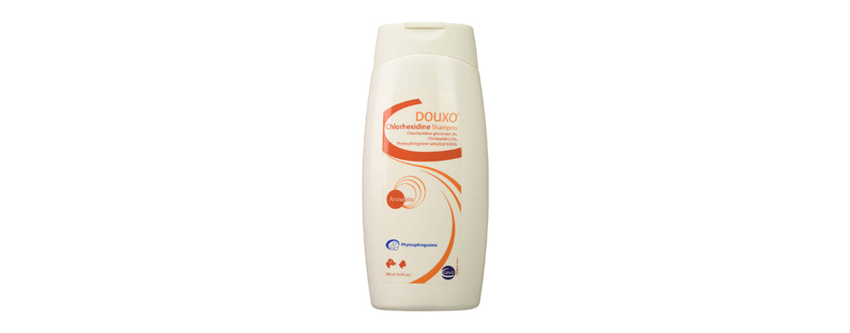 farm to market dog shampoo