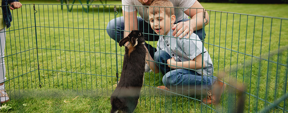 Father and son kneeling down next to a cage