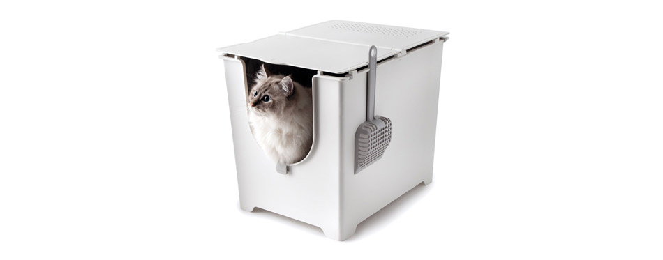 best cat litter box 2019
