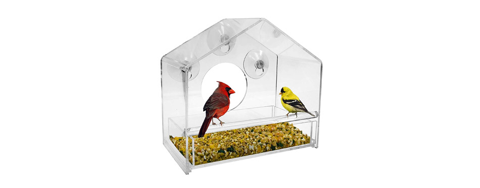 Best Weather-Proof	: Nature Gear Window Bird Feeder