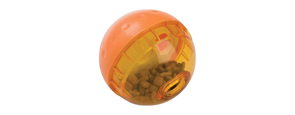 OurPets IQ Treat Ball Dog Toy