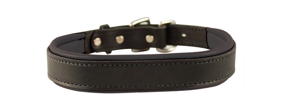 Perri's Padded Leather Dog Collars