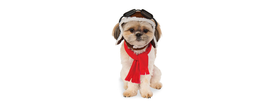 best dog hats