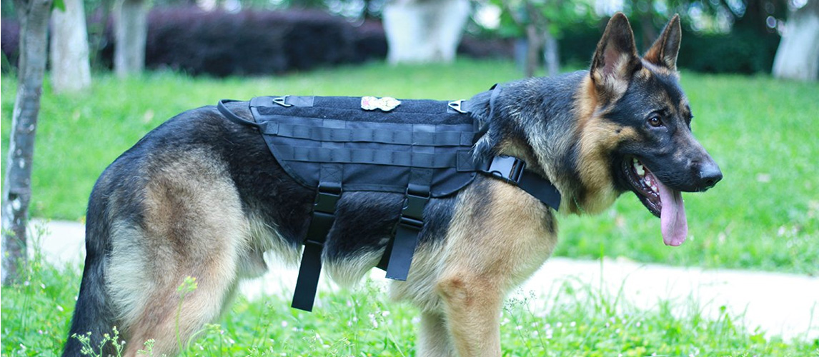tactical dog vests