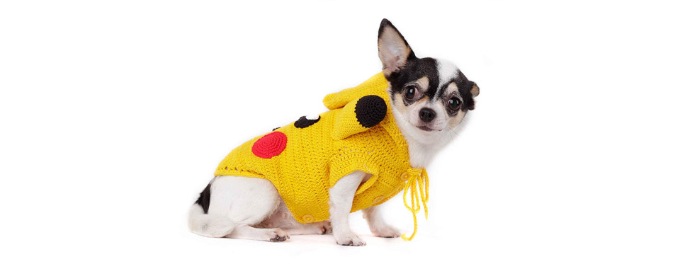 The Best Pokemon Costumes for Dogs of 2022