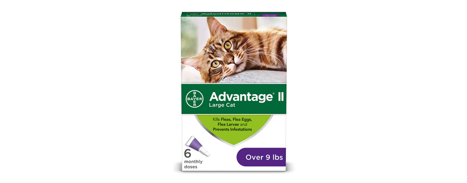 best flea medicine for cats