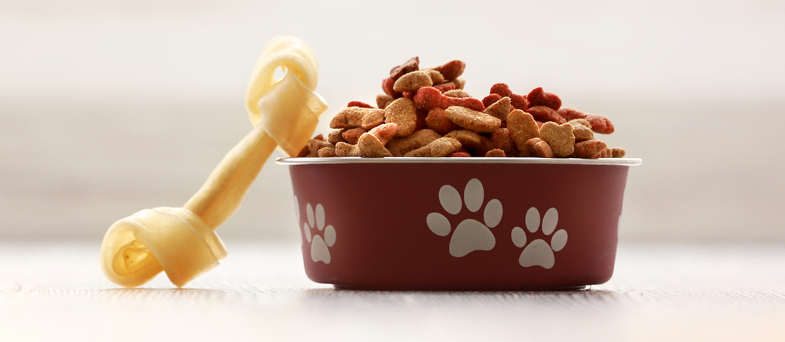 The Best Dry Dog Food In 2022 | My Pet Needs That