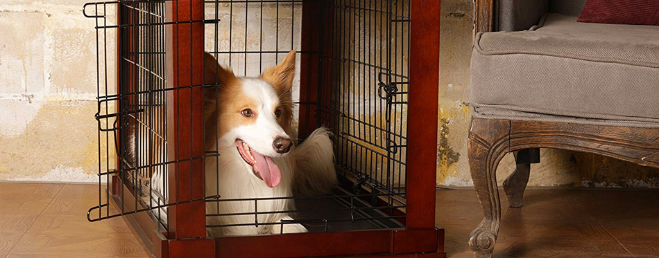 dog laying in crate end table