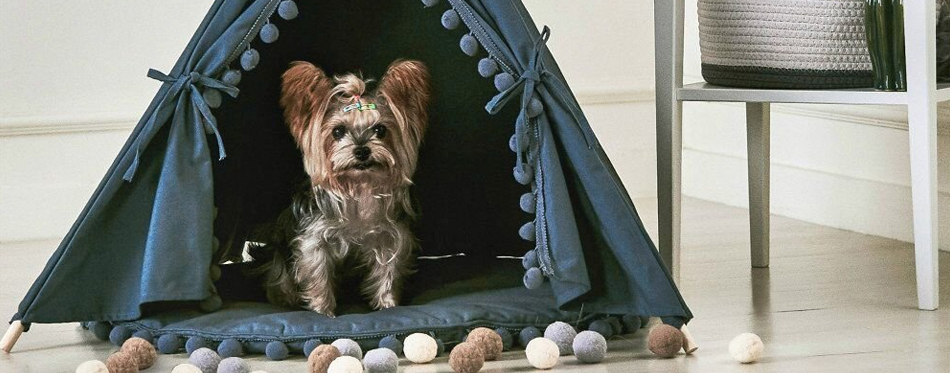 dog teepee tent