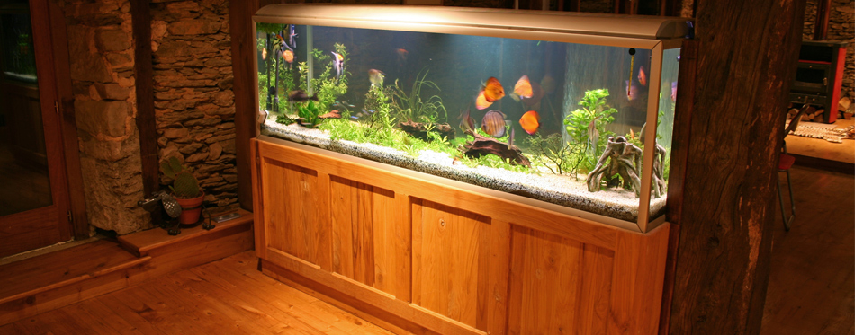 fish tank light