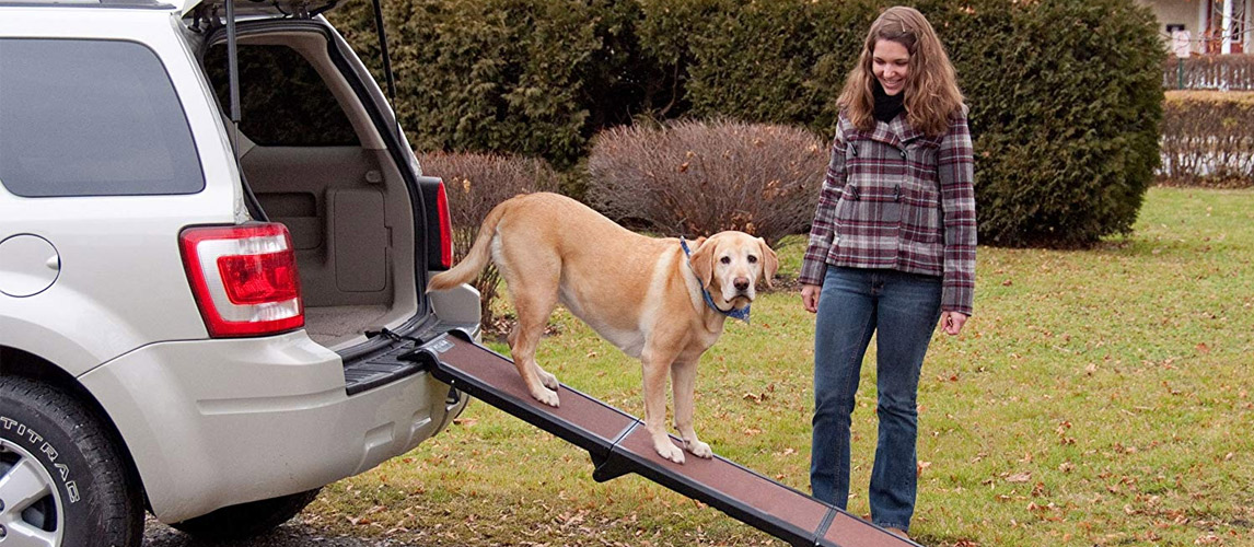 extra wide pet ramps for dogs