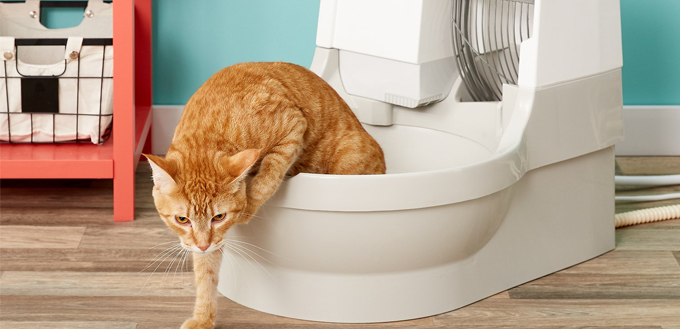 Cat-Genie-Self-Flushing-Cat-Box-featured