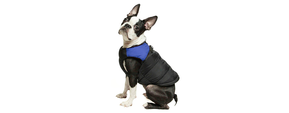 Gooby Padded Dog Winter Jacket