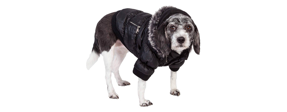 Metallic Fashion Pet Parka Coat