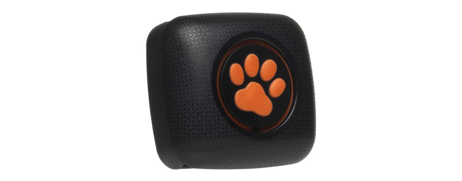 PitPat Dog Activity and Fitness Monitor