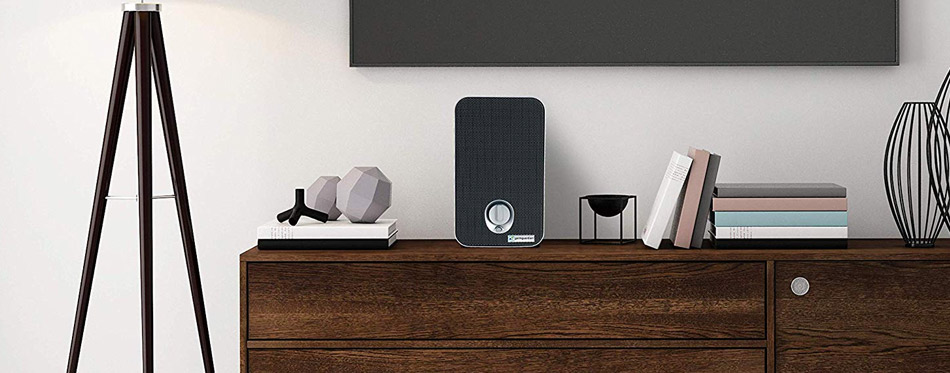 Purificadores de aire para perros - Alen-BreatheSmart