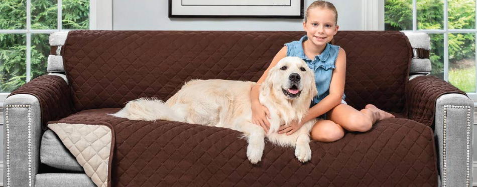 what is the best couch cover for dogs