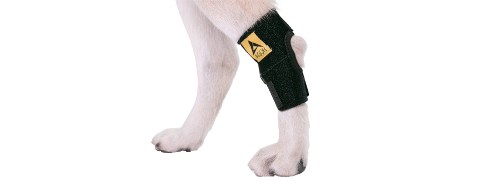 Agon Dog Knee Brace