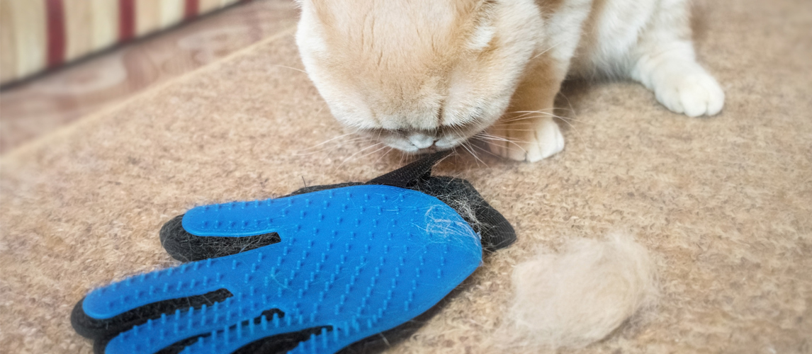 best-cat-grooming-glove