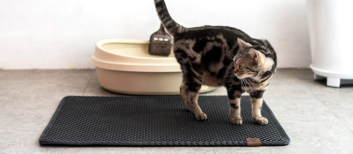 best-cat-litter-mat