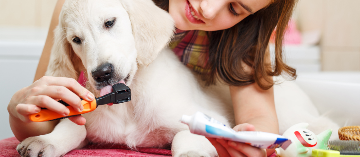 best puppy toothbrush and toothpaste